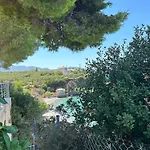 Palaiohora Avias *