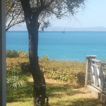 Palaiohora Avias *