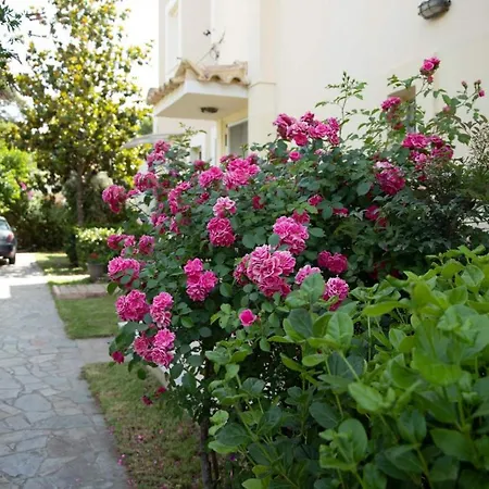 Palaiohora Avias * Avía