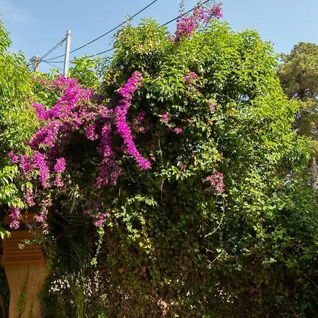 Διαμέρισμα Palaiohora Avias Αβία