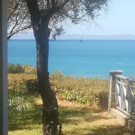Palaiohora Avias *