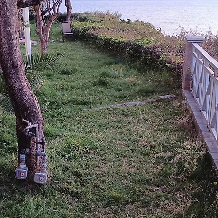 Palaiohora Avias * Avía