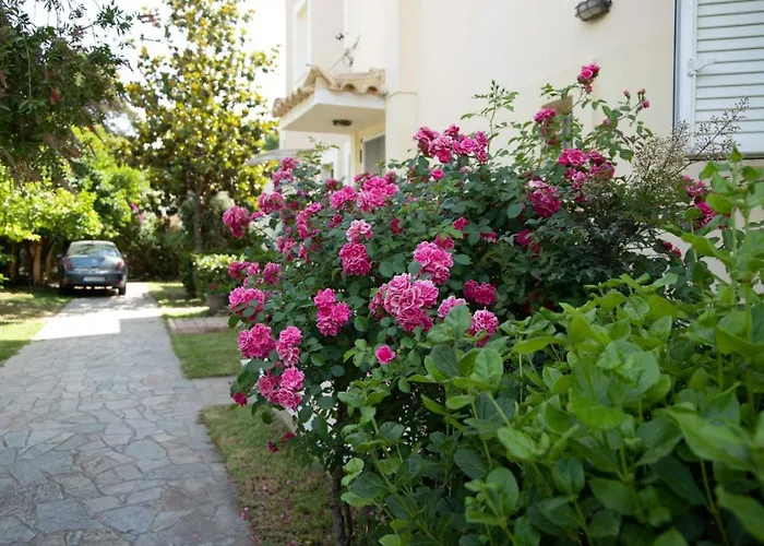 Palaiohora Avias * Avía