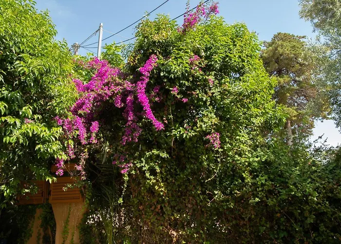 Apartamento Palaiohora Avias Avía